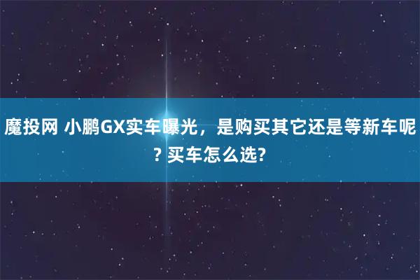 魔投网 小鹏GX实车曝光，是购买其它还是等新车呢? 买车怎么选?
