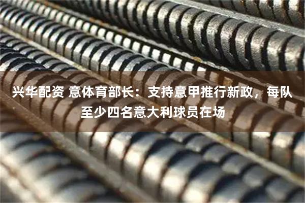 兴华配资 意体育部长:支持意甲推行新政,每队至少四名意大利球员在场