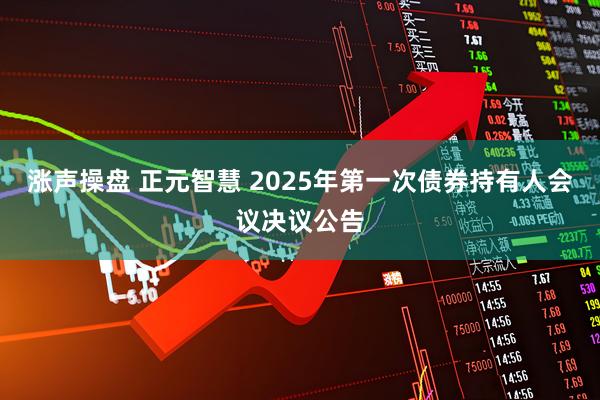 涨声操盘 正元智慧 2025年第一次债券持有人会议决议公告