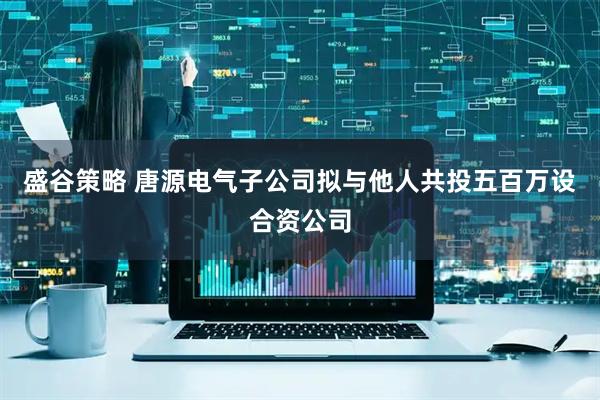 盛谷策略 唐源电气子公司拟与他人共投五百万设合资公司